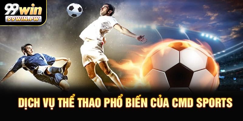 Những dịch vụ thể thao phổ biến của CMD Sports