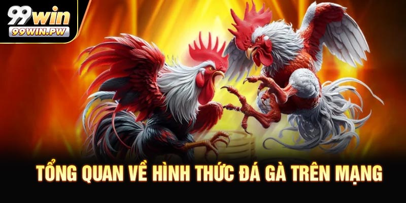 Tổng quan về hình thức đá gà trên mạng hiện đại