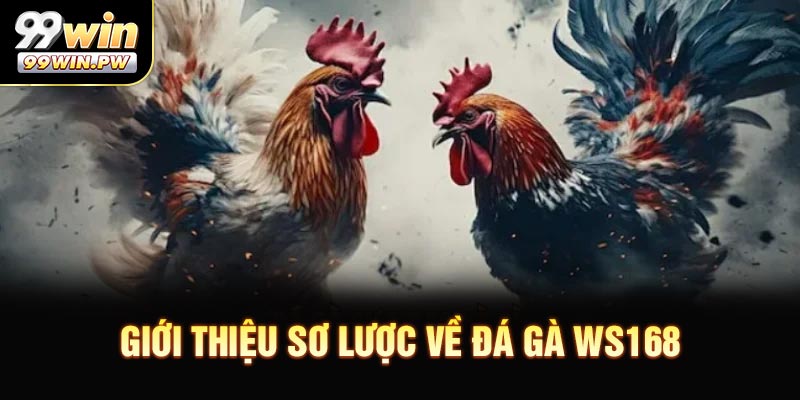 Giới thiệu sơ lược về Đá Gà WS168