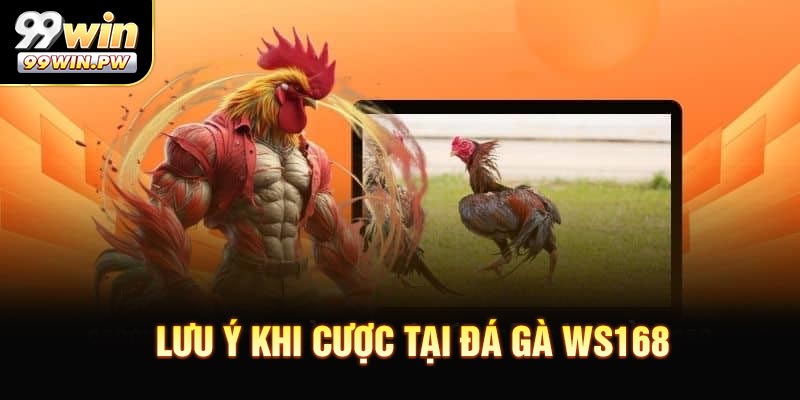 Lưu ý khi cược tại Đá Gà WS168 dành cho người mới